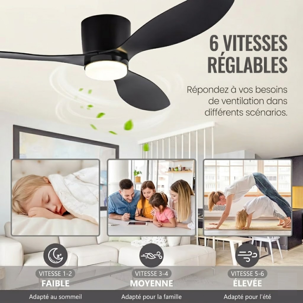 Zénith Air - Ventilateur de Plafond DC Silencieux LED 132 cm | Blanc, Noir, Bois