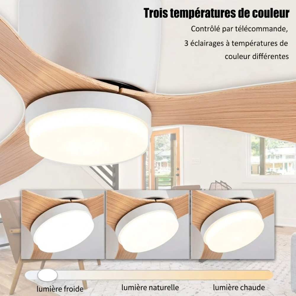 Zénith Air - Ventilateur de Plafond DC Silencieux LED 132 cm | Blanc, Noir, Bois