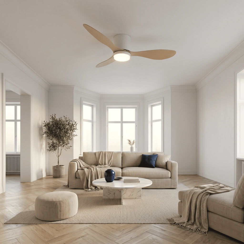 Ventilateur Plafond Silencieux Moteur DC