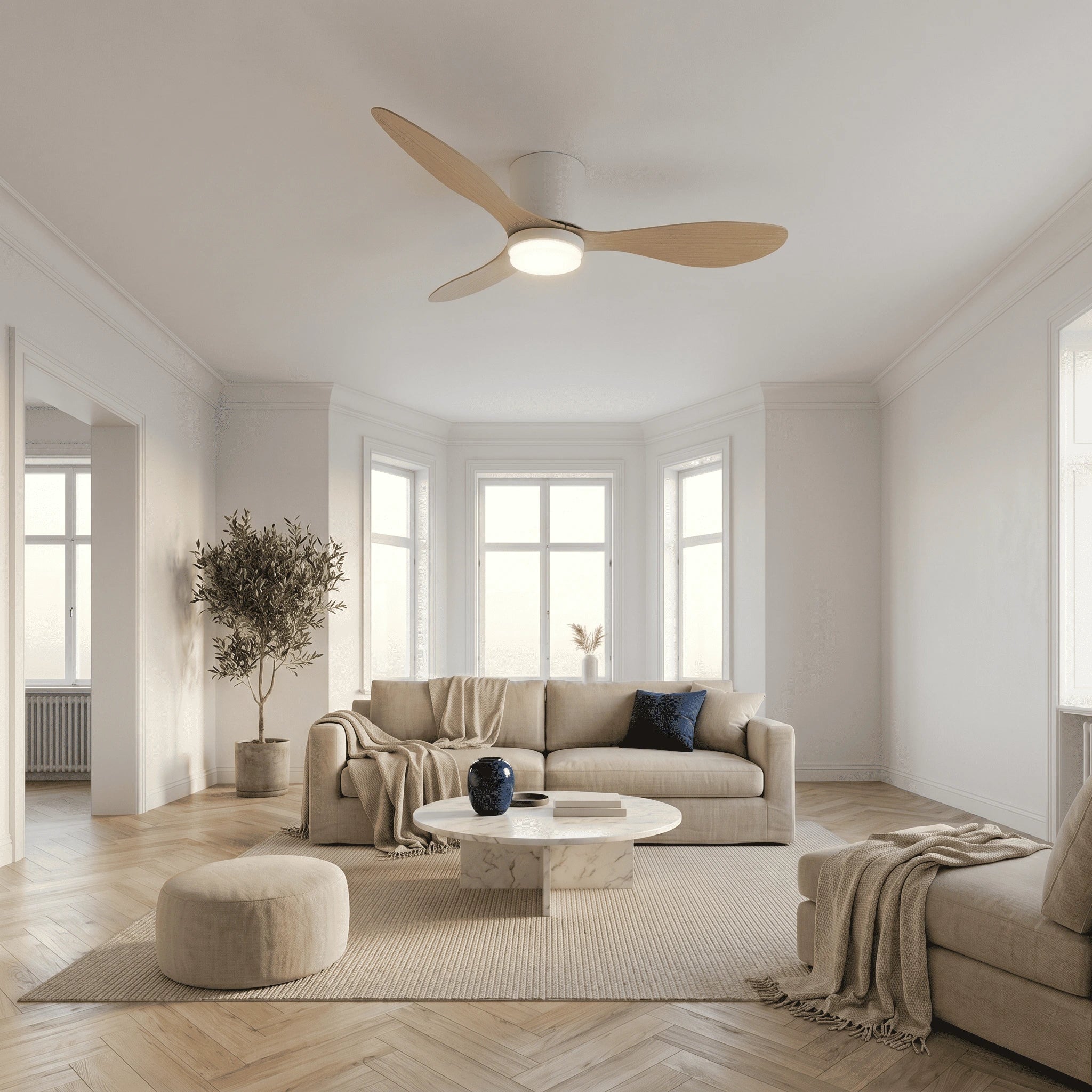 Ventilateur Plafond Silencieux Moteur DC