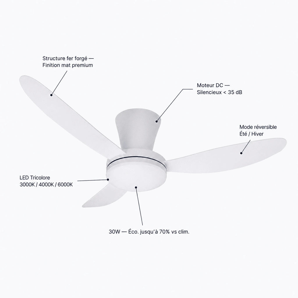 Ventilateur de Plafond Fer Forgé — LED Tricolore
