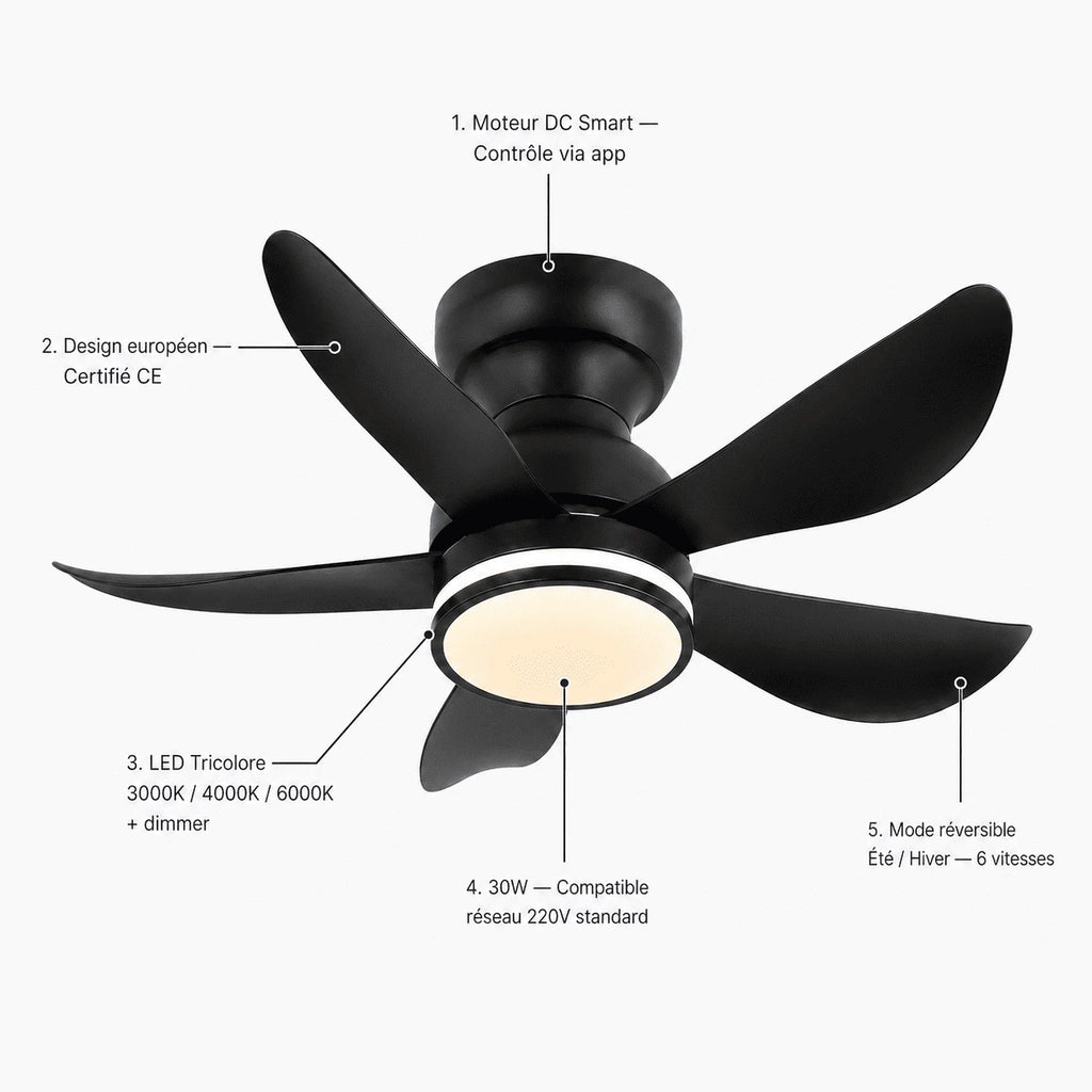 Ventilateur de Plafond Smart — Style Européen LED